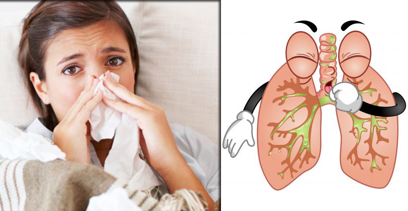imagen Los mejores remedios naturales para tratar la bronquitis